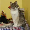 Отзыв от Елизавета Полякова